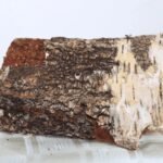 Brennholz 40 Säcke trockenes Holz – 100 % Asche – 8 kg – Image 3