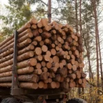 Kastanien-Rundholz – Komplettladung 50 Ster